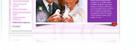 P&aacute;gina Web