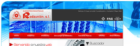 P&aacute;gina Web
